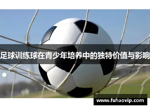 足球训练球在青少年培养中的独特价值与影响